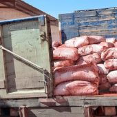 فروش عمده پودر اخرا هرمز در دلیجان