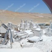 فروش بهترین کربنات کلسیم برای مرغ