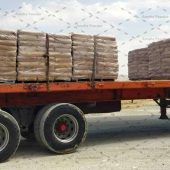 عرضه مستقیم کربنات کلسیم دامی