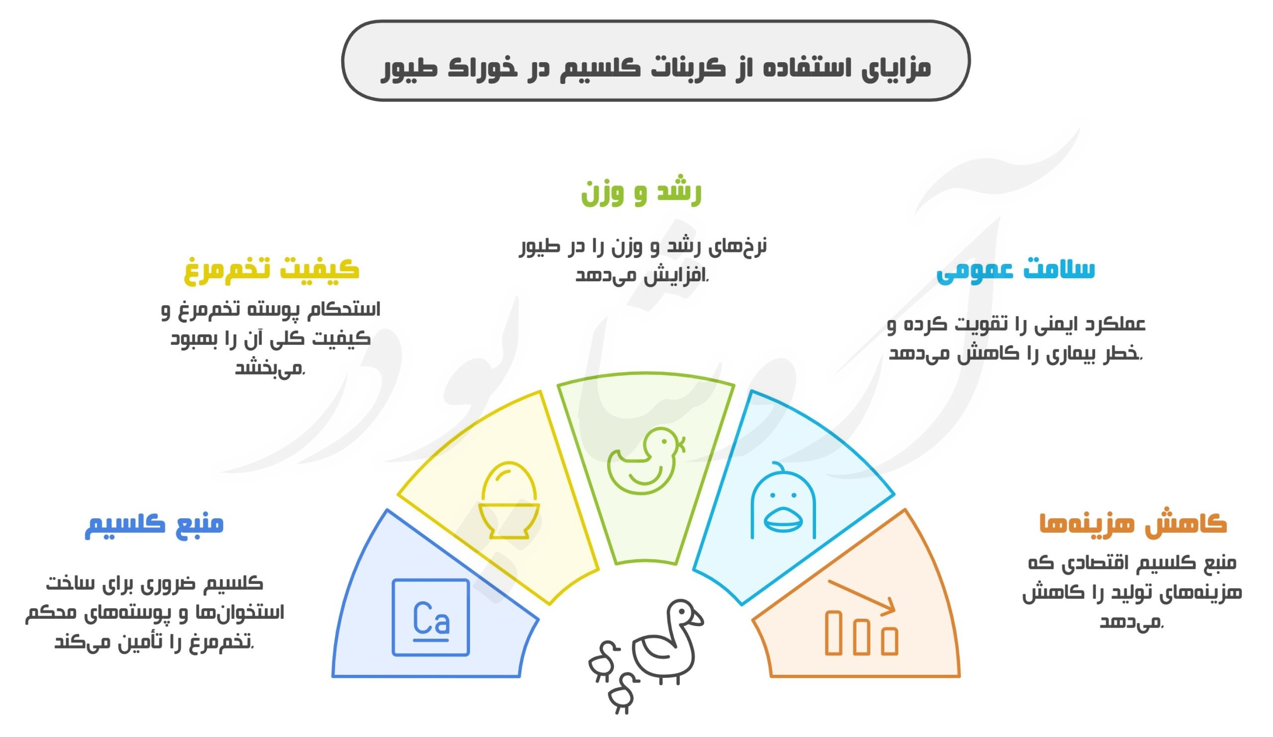 کربنات کلسیم در خوراک طیور و مرغ