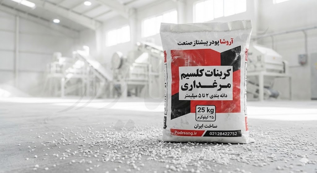 راهنمای جامع خرید بار فله صدف معدنی؛ تضمین استحکام استخوان و پوسته تخم‌مرغ