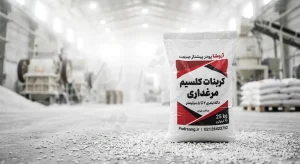 زمان ماندگاری کلسیم در پیش معده طیور: مهندسی گوارش برای حداکثر سودآوری