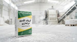 پودر صدف کوهی یا دریایی؟ نبرد نهایی برای استحکام پوسته تخم‌مرغ و سلامت گله
