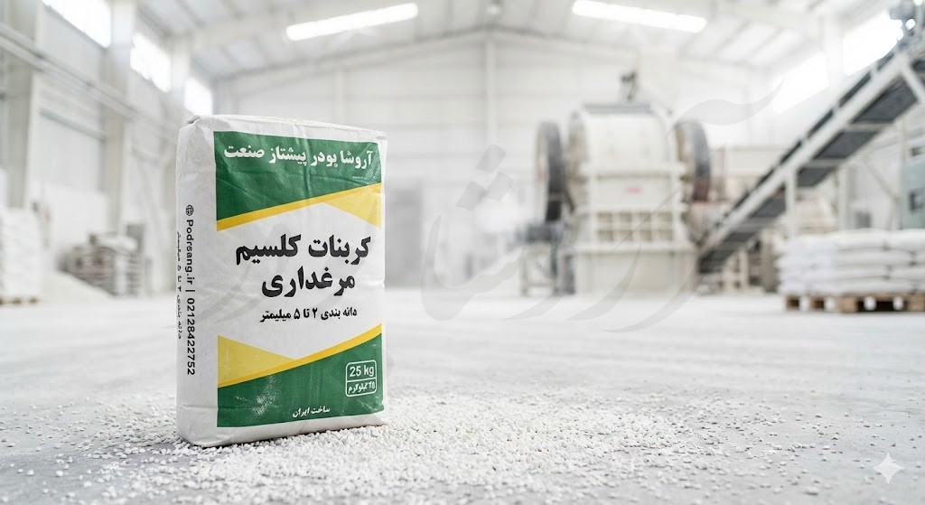پودر صدف کوهی یا دریایی؟ نبرد نهایی برای استحکام پوسته تخم‌مرغ و سلامت گله